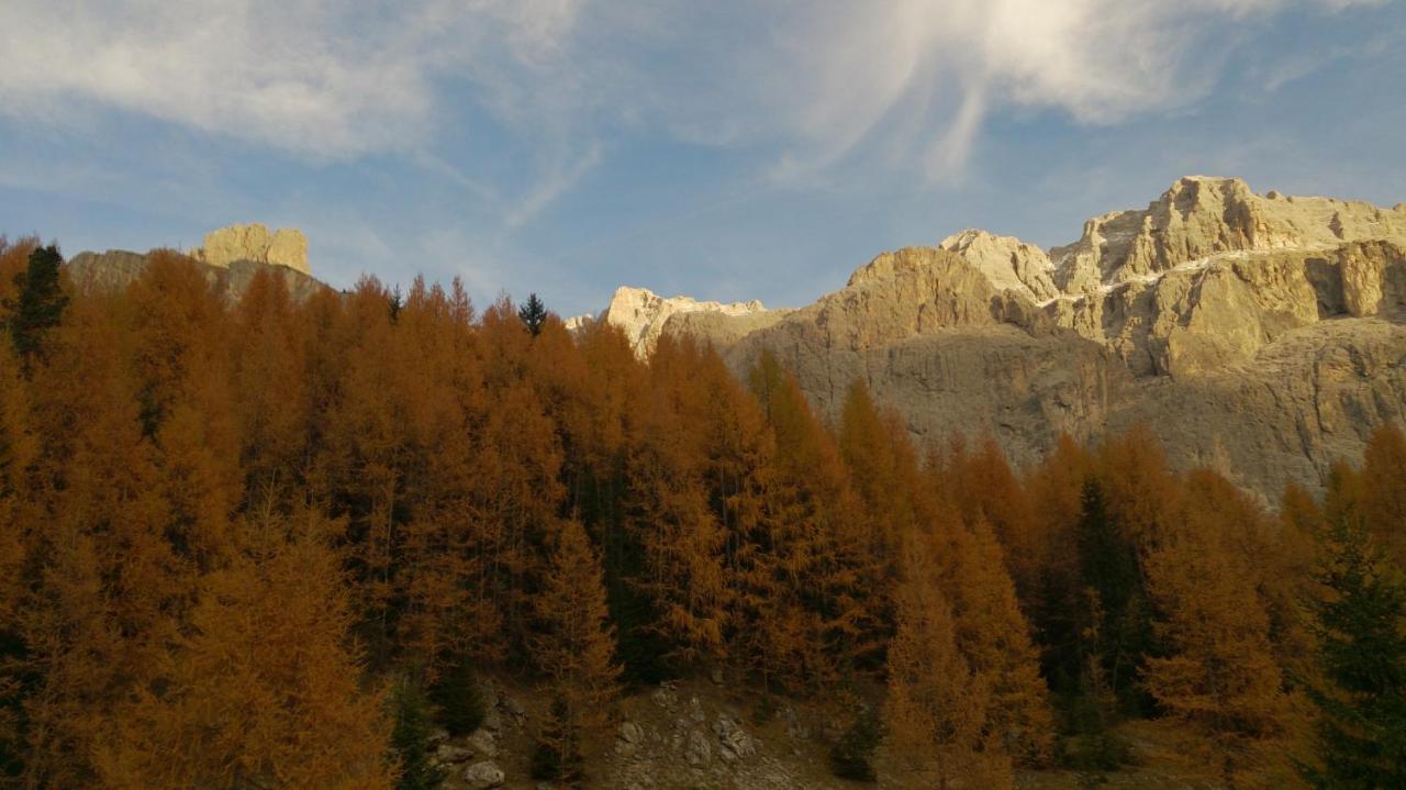 Landhaus Bachler Brixen im Thale Buitenkant foto